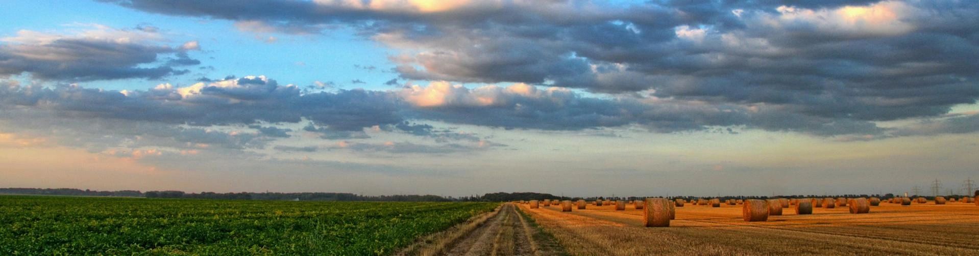 Moore Farms Farm, Construction, Hay